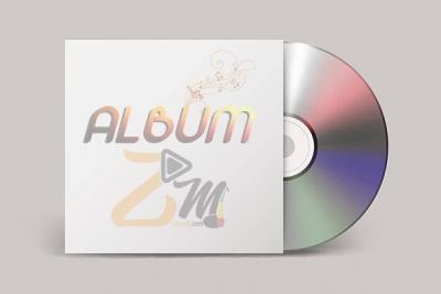 Nouhoum Dembele Album: Folikan Album sorti en 2006